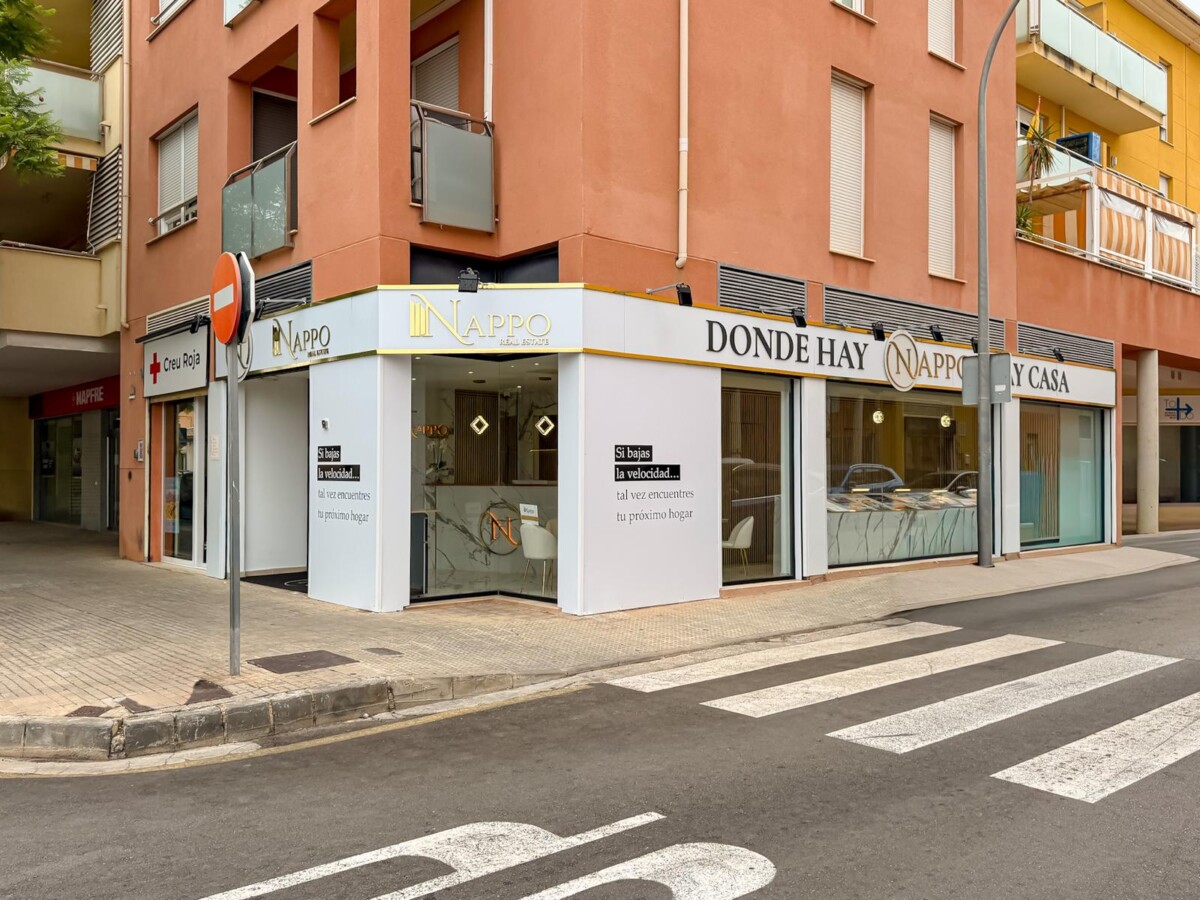 WhatsApp Image 2026-01-30 at 11.51.55