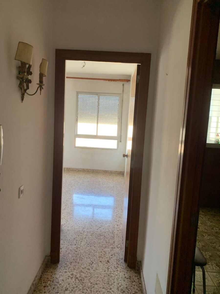 WhatsApp Image 2026-01-26 at 16.48.00 (3)